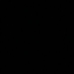 Meet your Posher, Jackson